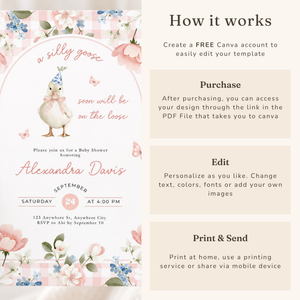 Pink Gingham Silly Goose Baby Shower Invitation L96