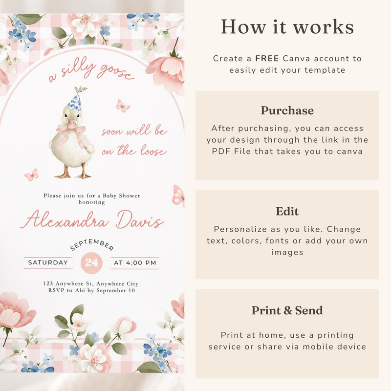 Pink Gingham Silly Goose Baby Shower Invitation L96