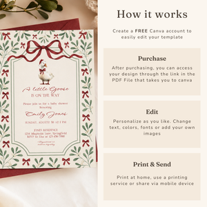 Little Goose Christmas Baby Shower Invitation BS251