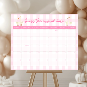 Baby Shower Mega Bundle - Pink Silly Goose Gingham BS22