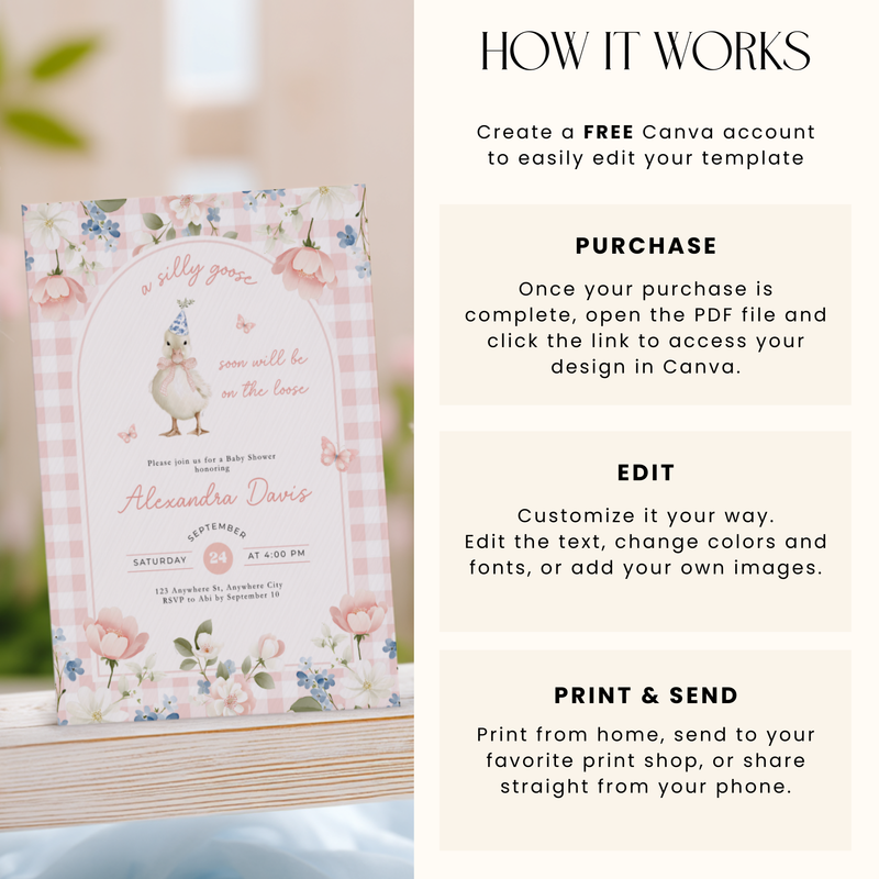 Pink Gingham Silly Goose Baby Shower Invitation L96