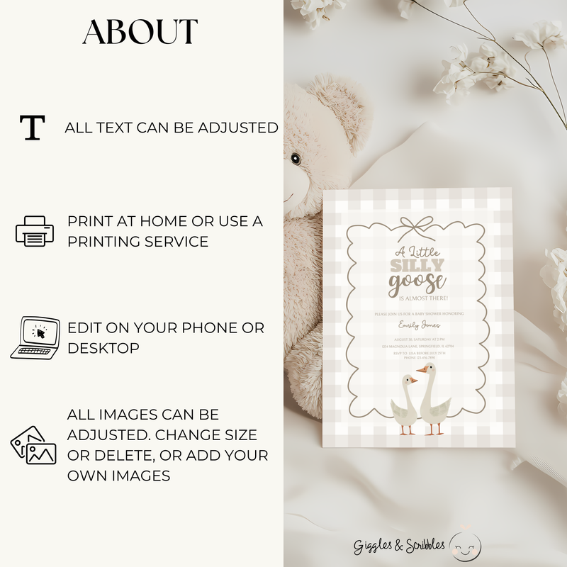 Baby Shower Invitation Bundle - Beige Silly Goose Gingham BS25