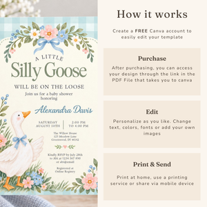 Silly Goose Baby Shower Invitation – Blue Gingham L177