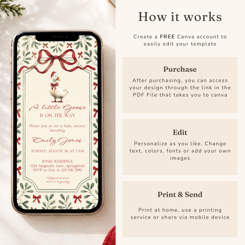 Little Goose Christmas Baby Shower Invitation Bundle BS251
