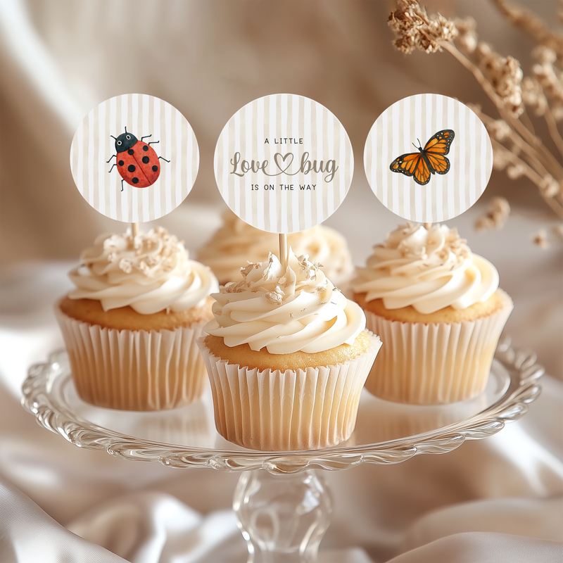 Little Love Bug Baby Shower Bundle BS276