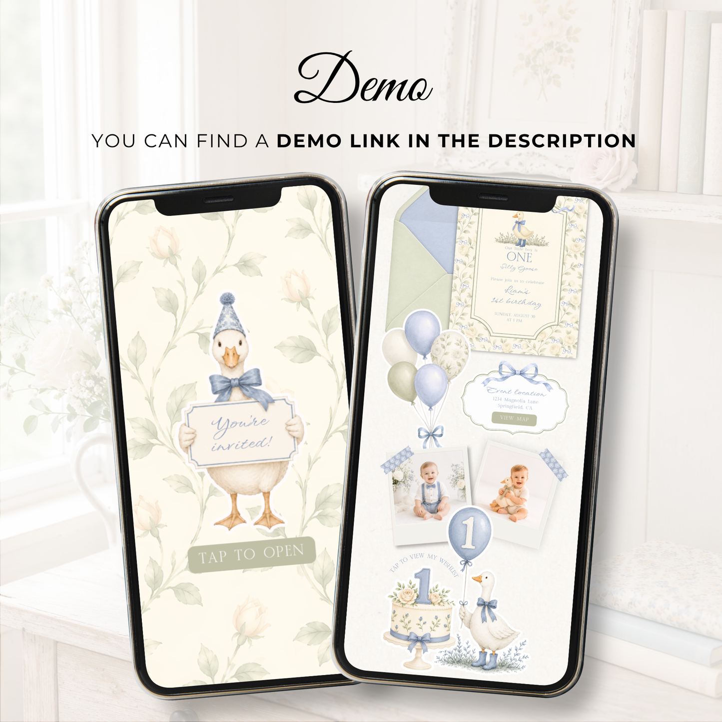 One Silly Goose Boy Birthday Website Invitation with RSVP L138
