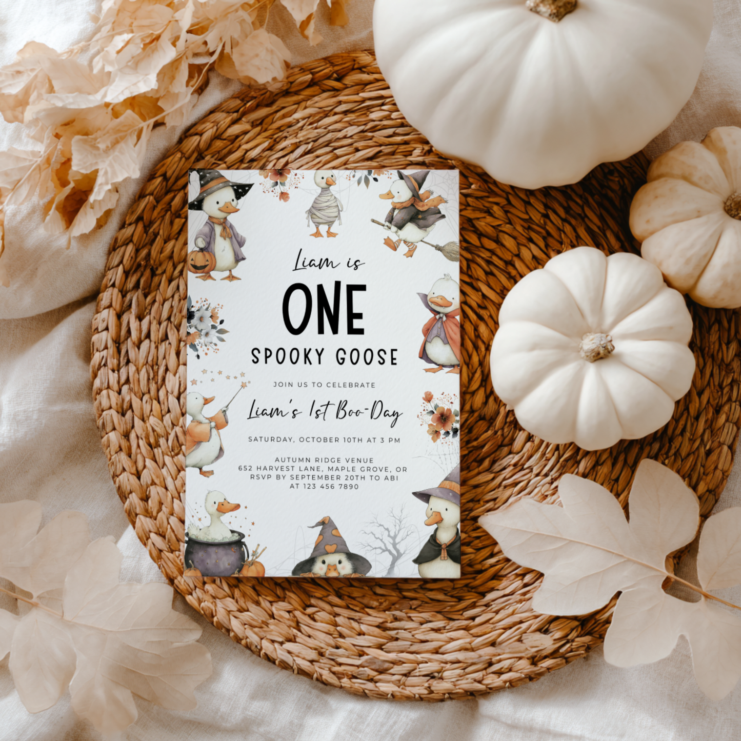 One Spooky Goose Birthday Invitation Halloween L12