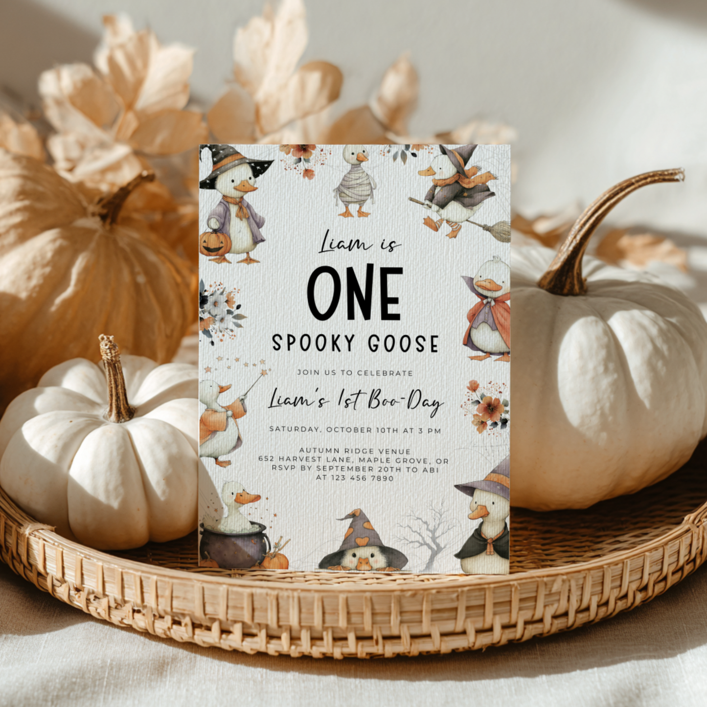 One Spooky Goose Birthday Invitation Halloween L12