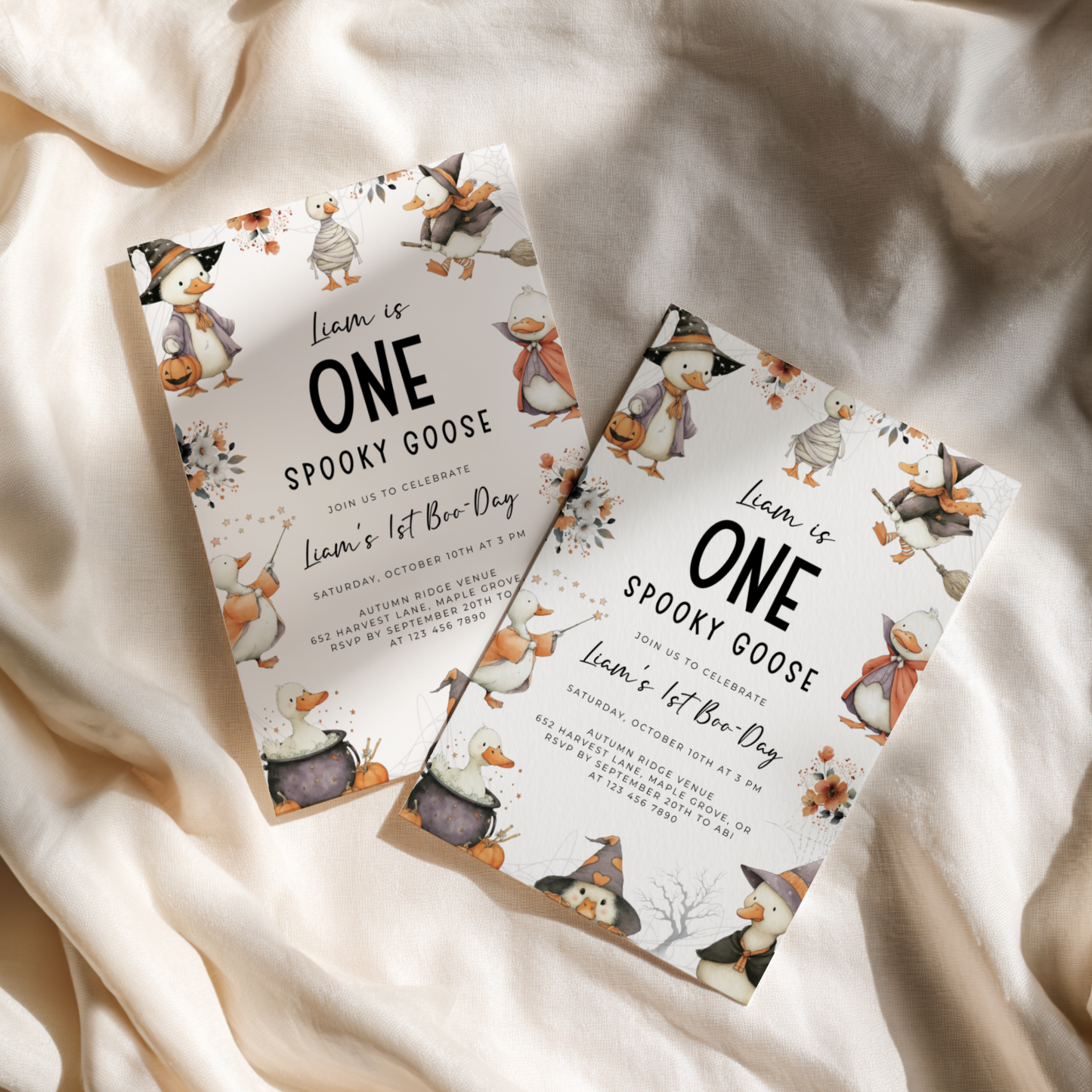 One Spooky Goose Birthday Invitation Halloween L12