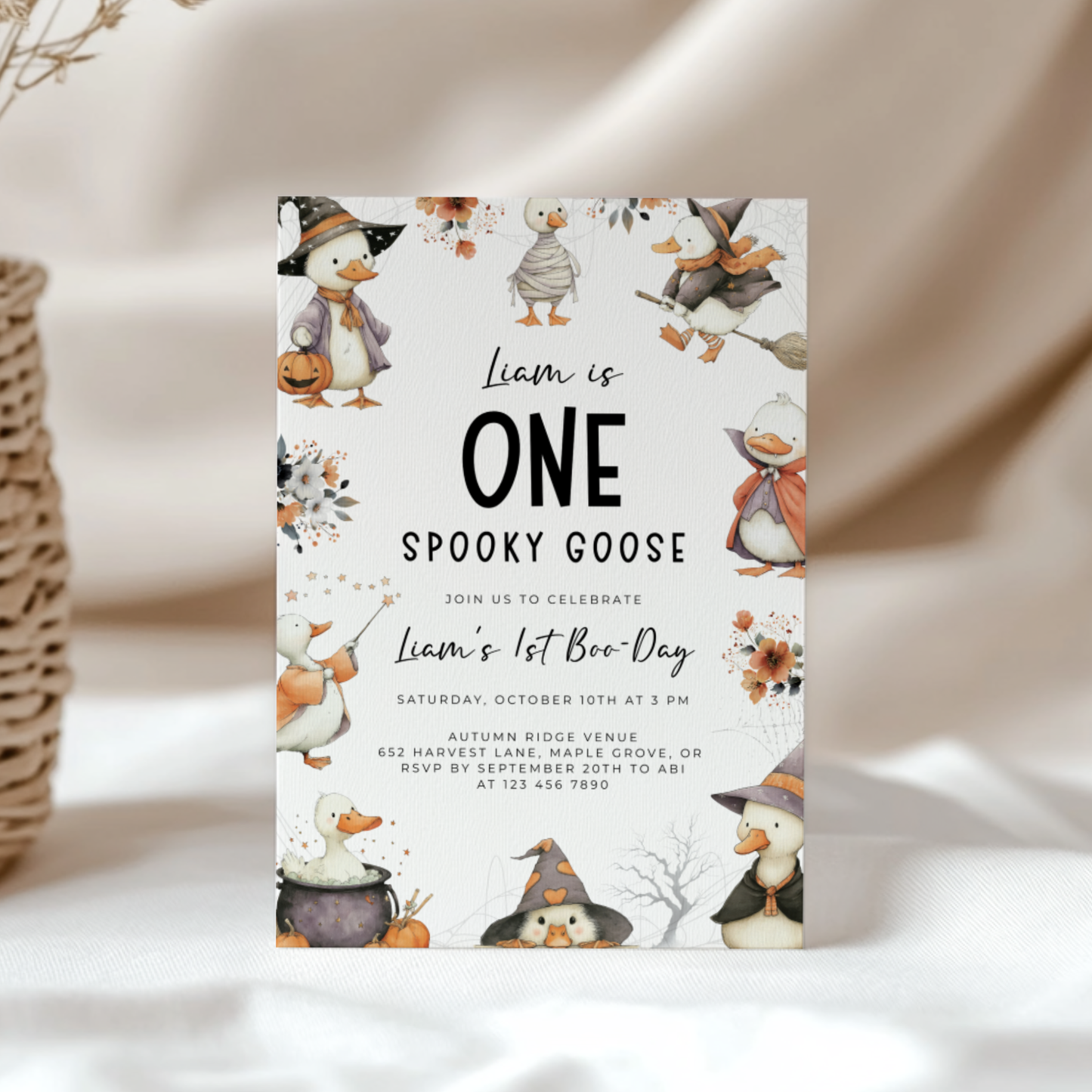 One Spooky Goose Birthday Invitation Halloween L12