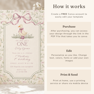 One Little Goose 1st Birthday Invitation – Vintage Silly Goose L138