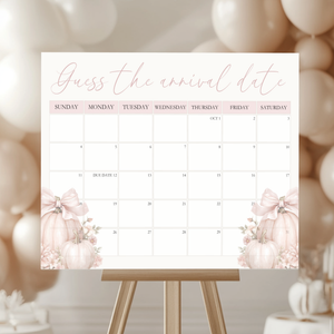 Baby Shower Welcome Sign - Pink Pumpkin Guess The Arrival Date Game Sign BS233