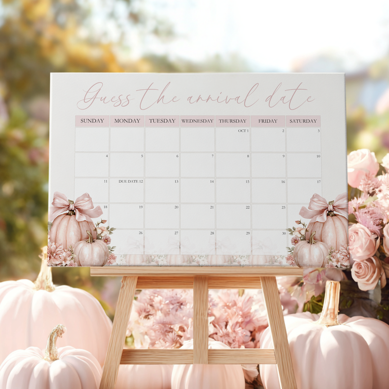 Baby Shower Welcome Sign - Pink Pumpkin Guess The Arrival Date Game Sign BS233