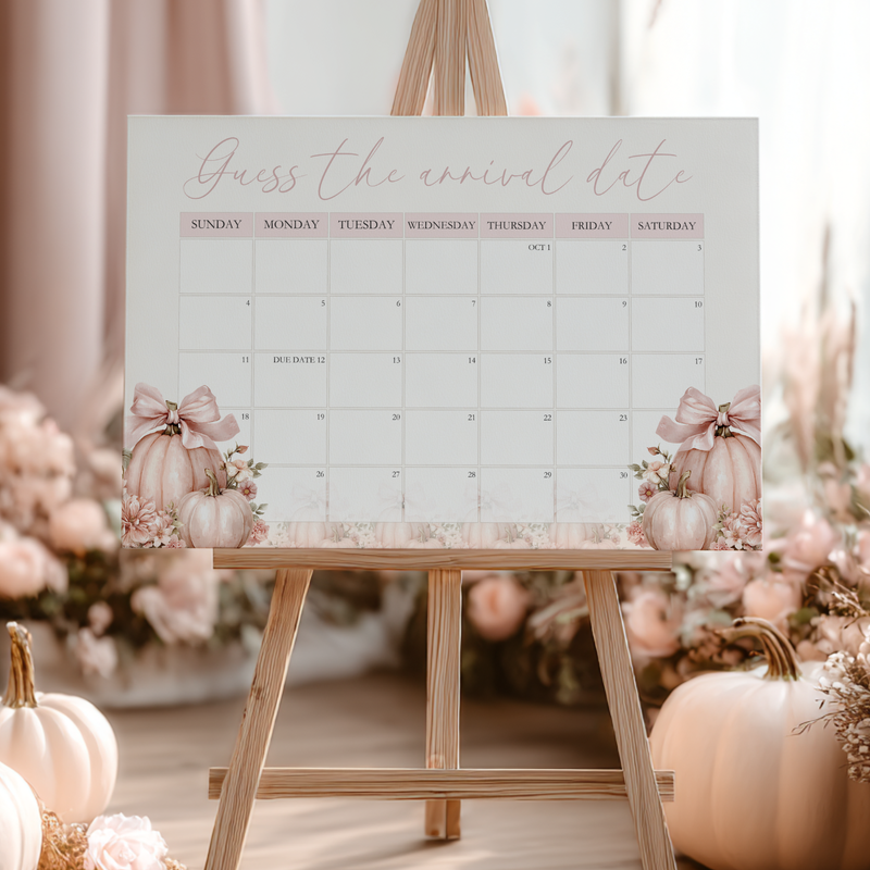 Baby Shower Welcome Sign - Pink Pumpkin Guess The Arrival Date Game Sign BS233