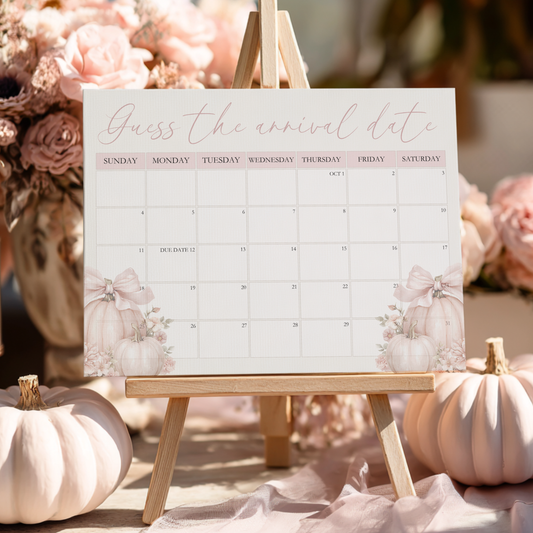 Baby Shower Welcome Sign - Pink Pumpkin Guess The Arrival Date Game Sign BS233