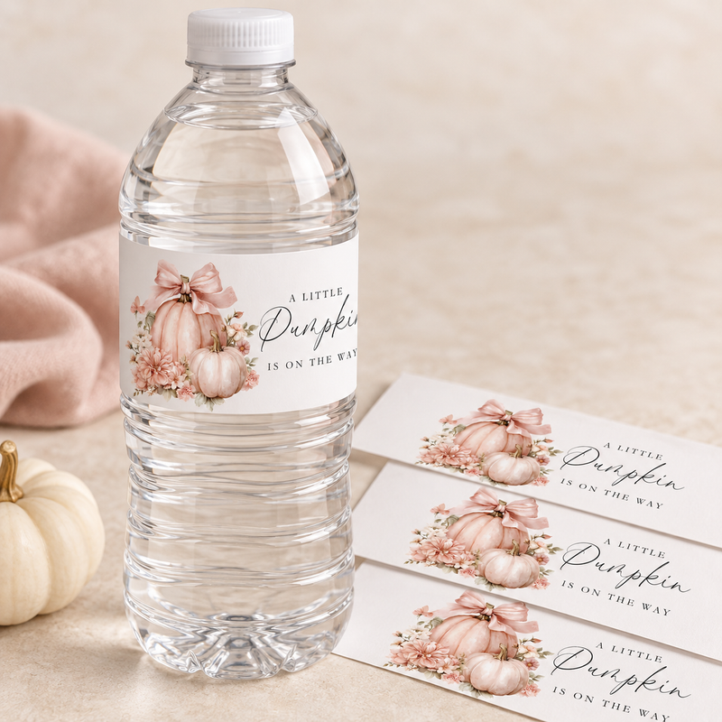 A Little Pumpkin Is On The Way Pink Baby Shower Mega Bundle  BS233