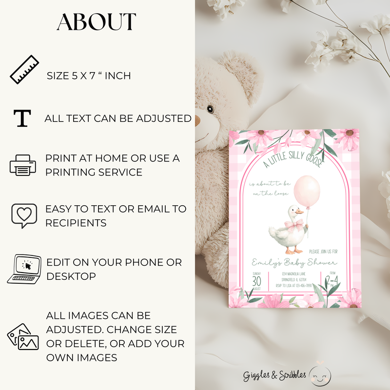 Baby Shower Invitation - Pink A Little Silly Goose Gingham with Flowers BS89
