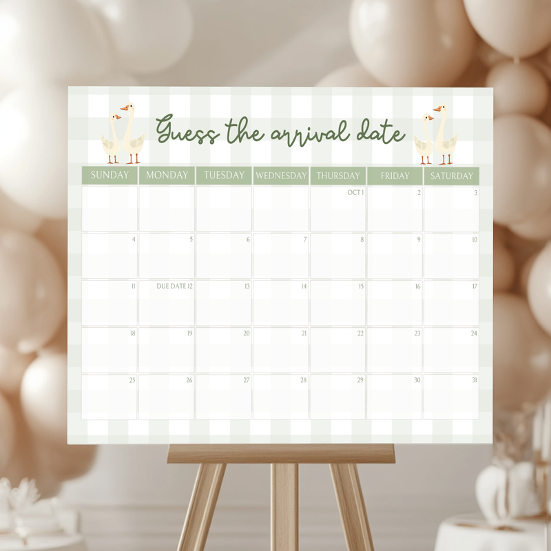 Baby Shower Mega Bundle - Green Silly Goose Gingham BS24