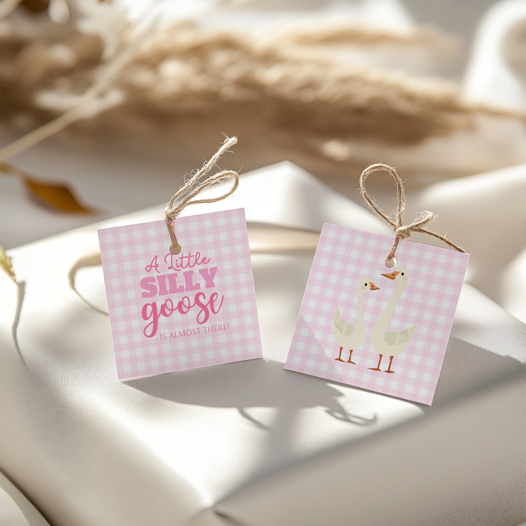 Baby Shower Mega Bundle - Pink Silly Goose Gingham BS22