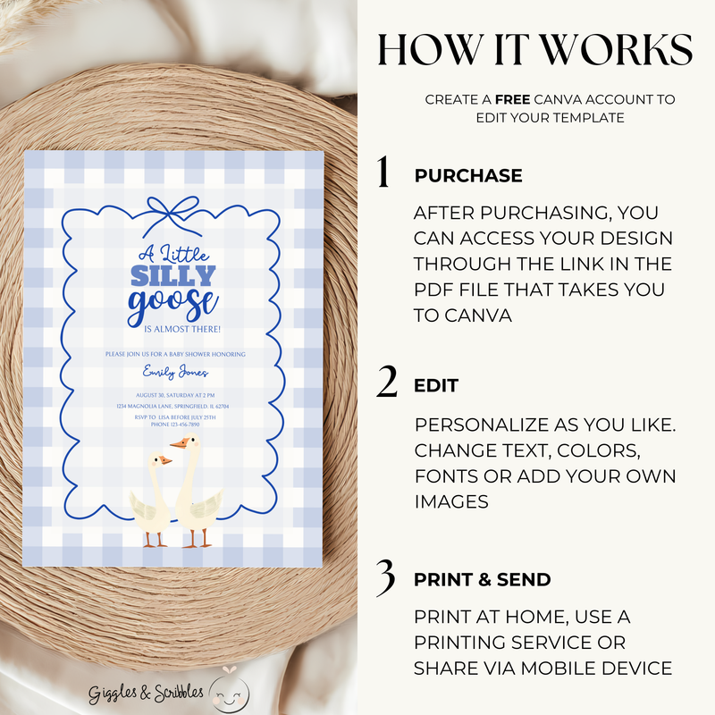 Baby Shower Invitation - Blue Silly Goose Gingham BS23