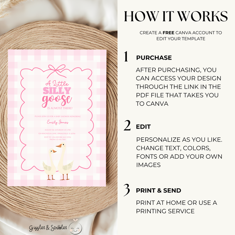 Baby Shower Invitation Bundle - Pink Silly Goose Gingham BS22