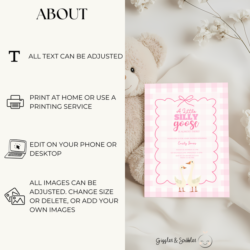 Baby Shower Invitation Bundle - Pink Silly Goose Gingham BS22