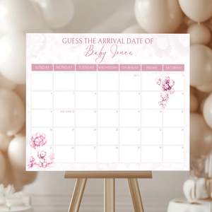 Baby Shower Mega Bundle - Pink Bearly Wait Toile de Jouy BS37