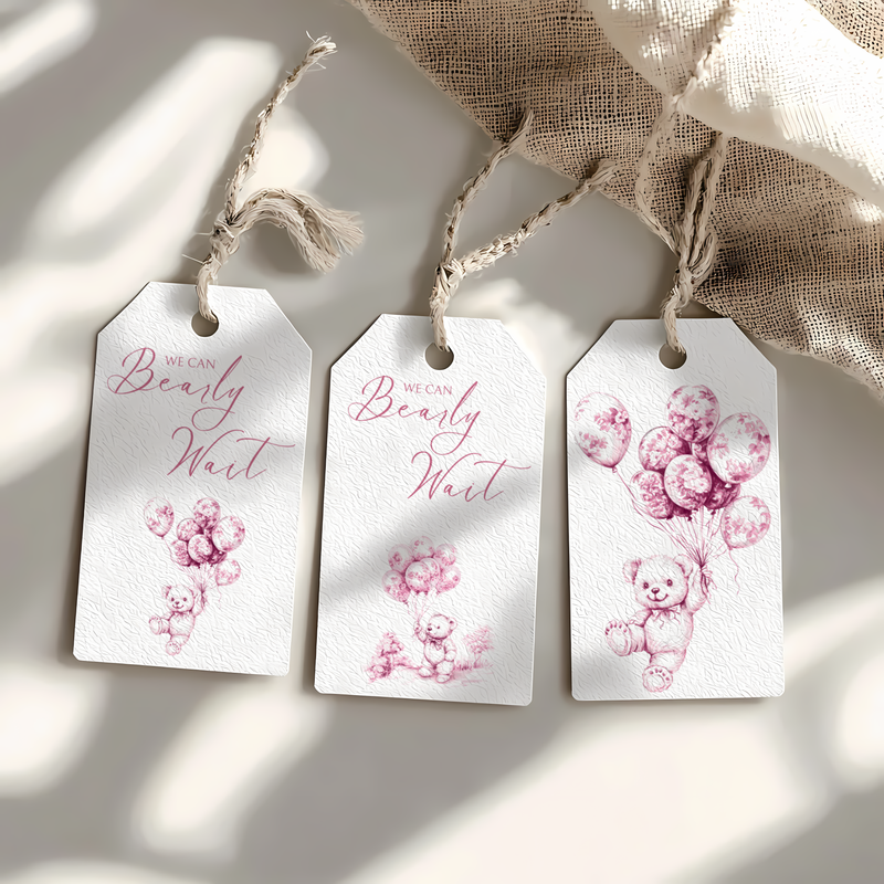Baby Shower Mega Bundle - Pink Bearly Wait Toile de Jouy BS37