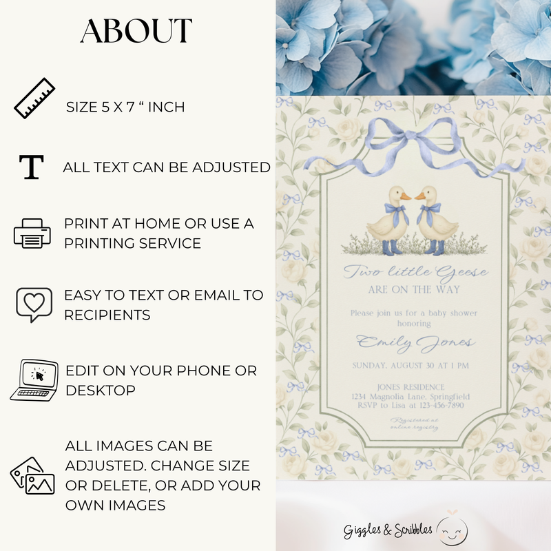 Twin Boys Little Goose Baby Shower Invitation BS285
